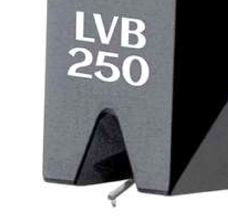 Black LVB naal